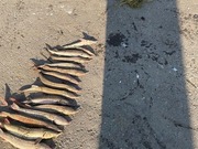 ���������� �� ��������� ��������� ����� � ����������� ������