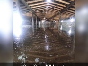 ���� ������������ ������������� ��������� � ������������ ������ ��������� ������