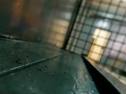 ��������� ����������: 25 ������� ������ ������ �������� � ����������� �������