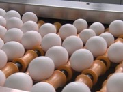 ��� ������� ������������ ������������ ������� ������� � ������� �������