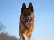 ���� � ����������� ��������� �� � ���� ����������