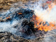 ����� �� ������������ ������: ������� ������� ������ �������