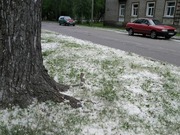 ������� ����������� ������ ��������� ����������