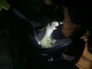 ��������� ������������� �������� ������������ �������������