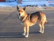 � ������������ ������� ��������� ������������ ��������