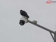 ������ ��������� ��� � ��������� ������ �� ������