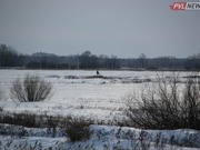 ����������� ��������� ������� � ����� �������� � ������������ ������