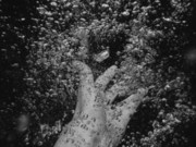 ���� � ������� � ������ �������� � ��������� ���������