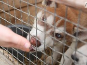 � ��������� ���������� ����� � �������� ��������� � ���������