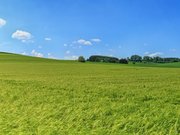 � ������������ ������� ����� ����������� ���������� � ����������������