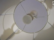 ���� � ����� � ������-�������� ��������� �������� �������������