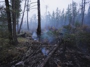 ����� � ������������ ����������� �������� �� ����� �����