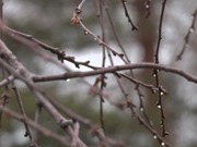 ����� �� �������� ������������ � ���������