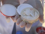 ���������� ���������� ��������� ��� ���