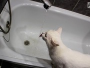 ���� ������ ��� �� ����� ��������� ��� ������� ����