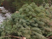 �� ���������� ���� �������� �������� �������� �����������