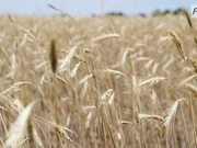 � ������������ ������� �������� �������� ��������� ��������� �����