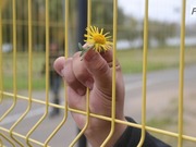 � ��������� ������ ��������� ��� ������ ������� �����