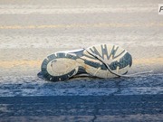 � ��������� ����� ��������� �� ��������