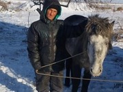 �������������� ������� ����� � ����� ����������� � ������������ �������