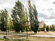 ������� ����� � �����: ������ � ������������ ������� 12 ��������