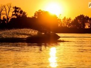 ������ ���� ����� ������ � ������������ �������