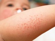 � ������������ ������� ����� ������ ������ �����������