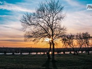 ������������ ����������� ������� ��������