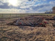 ������� ����� � ���: �� ��������� ����� � ������ ����� ������ � ���