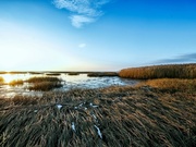 � ������������ ������� ����������� �������� ������ � ���� �������