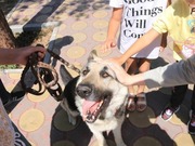 ������� ������ ������� � ����� ��� �����������