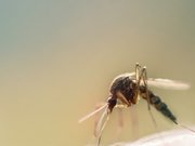 ������� ���� ��� ����� ���������� ������� ����� ��������