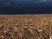 � ������������ ������� ����� ������ ������ ������