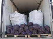 ����������� ���������� �� ��������� �������