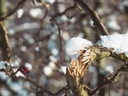 ���� � ���������: ����� ����� ������ � ������ � ������������ �������