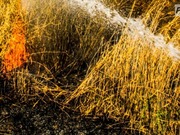 ����� ����� � ����������� ����������� ������������ �������