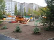 � ���� ������ ����� ��� ������������ �����������