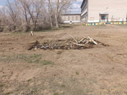 ��������� ����� �������� ����� ������� ������� � ��������� ��� � ������������ �������