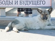 ���������, ������ ������: � ��������� ������ ������ �������� ��������