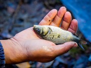 ���������� ��������� ��������� ����� � ������