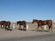 ���� ��� �������: �������� ����� ������ ������� ������������ �������