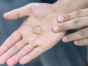 � ���������� ��������� ����� ����� ������: � ���� ��������� 