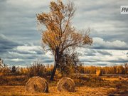 ����� �������� � ������������ ������� 22 ������