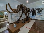 ������� ������������ �������� �������� ����������� �� ����� � �����