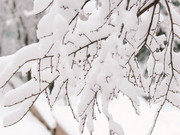 ������������ ������������ � ����� � �������� � ��������