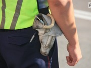 ������ � ��������� ����������� ����������� ��� ���������� � ����������