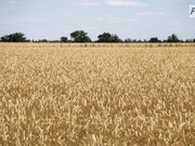 ���������� ������ ����� ��� ����� �������������� �� �������� �����