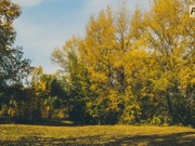 ������ ������ ������� � ������������ ������� ����� �����