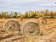 ����� ���������� ������� ����� 30 ����� ������������ ��������