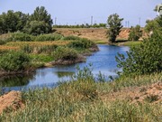 ���������� ���� � �������� �������� �� ������